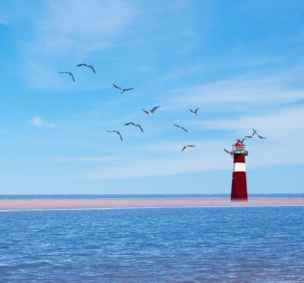 Z6��������ʱ���й����ٷ���վ